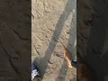 Mentahan Story WA || Jalan Sama Pacar