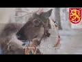 Lagu National Anthem of Finland: Maamme