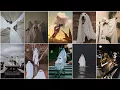 Funny Ghost dp photo Ghost dp wallpaper Funny Profile Pictures Cool dpz