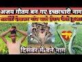अजय गौतम बन गए इच्छाधारी नाग ||Ajay gautam ban gaye ichhadhari nag || फिर गांव वाले हैरान#nag #nagin