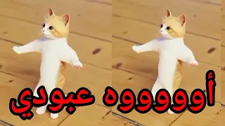 اغنية باسم عبودي عيد ميلاد عبودي اول تعليق السعودية العراق ابوظبي قطر الجزائر جده دبي تركيا الكويت 