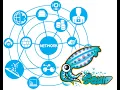 Squid Proxy Linux Configuration