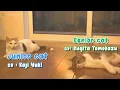 Download Lagu [ENG SUB] Seiyuu as cats in Japanese CM
