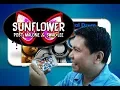 Post Malone Swae Lee - Sunflower Real Drum App Cover by Raymund
