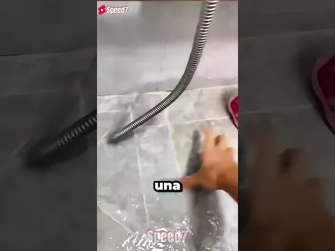 HA ENTRADO UNA SERPIENTE EN CASA