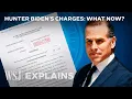 Hunter Biden s Legal Troubles Explained A Gun Unpaid Taxes and More WSJ
