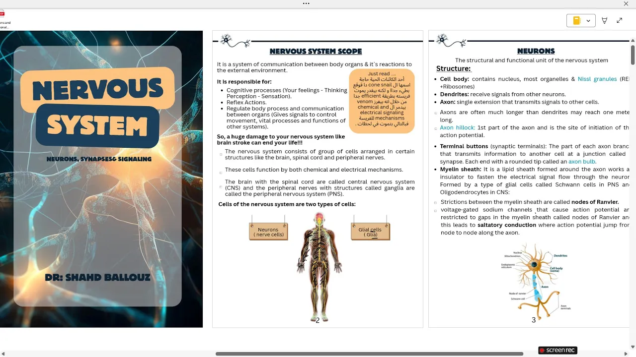 Senior 26 | Trial session 1 Dr. Shahd Ballouz | Neurons & Neuronal Signaling