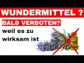 Download Lagu Was die Pharmaindustrie dir über Rosmarin verschweigt!