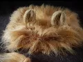 Dog Lion Mane Costume