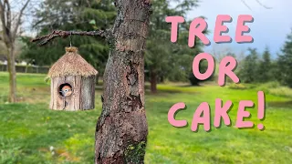 TREE or CAKE?
