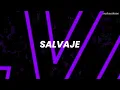 Nathy Peluso - Salvaje (Letra/Lyrics)