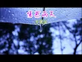 傷感雨天 主唱 方麗盈