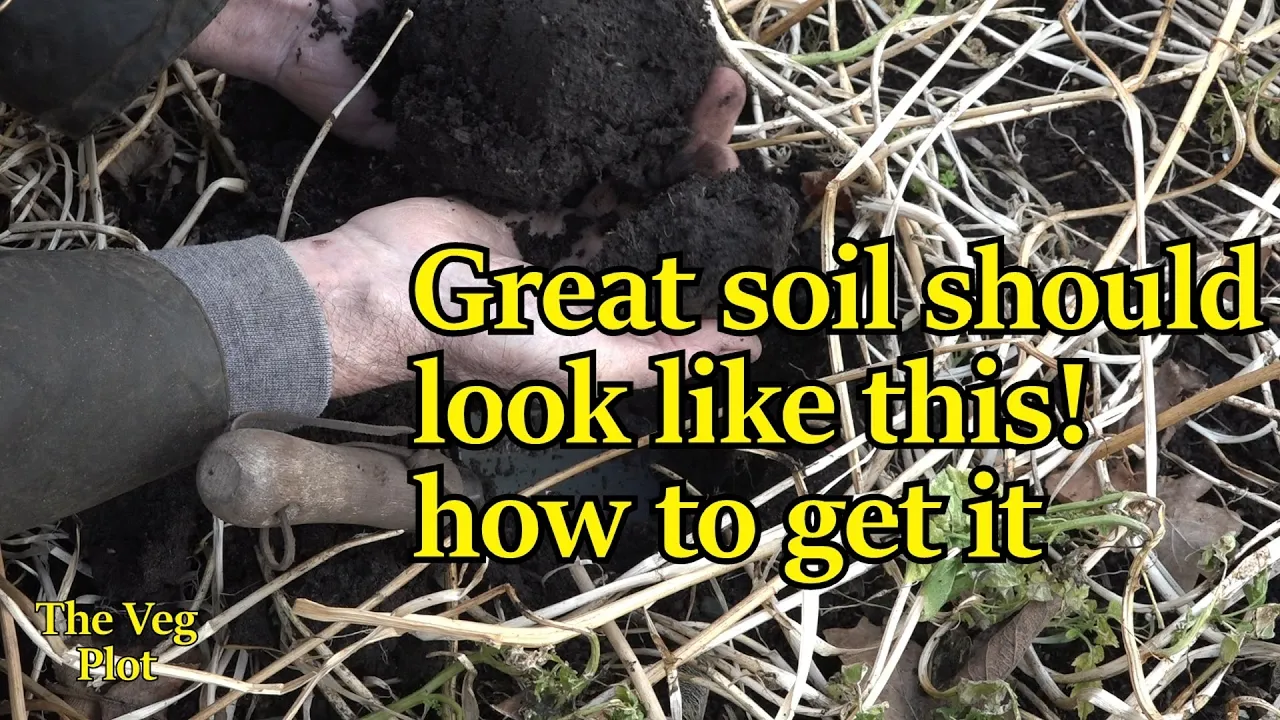 how to make your soil fertile for healthy food and less weeds