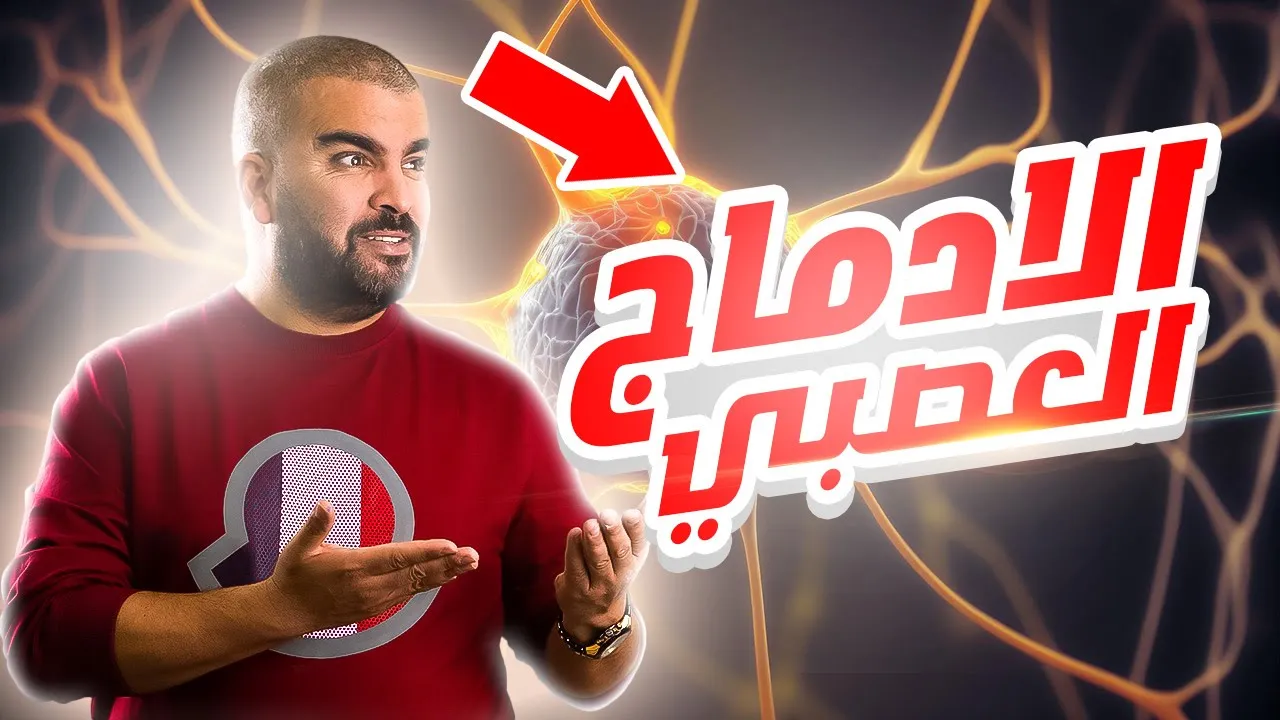 الادماج العصبي اتصال عصبي علوم الطبيعة والحياة باكالوريا
