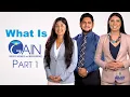 What Is GAIN Part 1