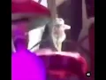 Stan Twitter cupcakke as a frog