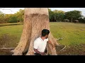 Download Lagu හම්බේගමුව නම් පිස්සුවක් 🥰🐘@WasanthaAiya වසන්ත අයියාත් එක්ක...🌾🍃
