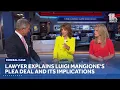 Lawyer explains Luigi Mangione s plea deal and its implications