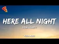 Download Lagu Demi Lovato - Here All Night (Lyrics)