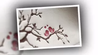 شراب الحب بدون ايقاع 