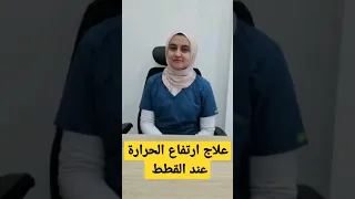 علاج ارتفاع الحرارة عند القطط سلسلة معلومة لقطتك في دقيقة 