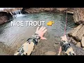 Download Lagu TROUT FISHING PENNSYLVANIA For Big Wild Brown Trout #fishing #troutfishing #fish