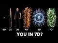 All 7 Dimensions Explained in Detail From 0D to Infinity