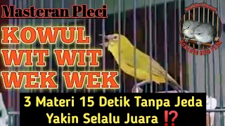 Download Masteran Pleci KOWUL WIT WIT WEK WEK MP3