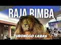 Download Lagu RAJA RIMBA KEMBALI BERAKSI‼️ BARONGAN TURONGGO LARAS LIVE IN GENTO NGAWENSARI HARI INI