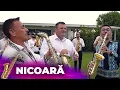 Download Lagu 🎤Petrica Brundeanu \u0026 Armin si Petrica Nicoară 🎷  Ia-ti mireasa ziua bună 👰🤵