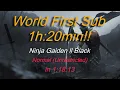 Ninja Gaiden 2 Black Speedrun - World Record