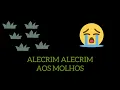 Download Lagu ALECRIM ALECRIM AOS MOLHOS