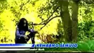 demy arume kembang semujo enak di denger 