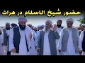 Download Lagu حضور شیخ الاسلام مولانا عبدالحمید در شهر هرات باستان