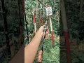 Download Lagu JORAN BAMBU CENDANI #mancing #joranbambu #bamboo #mancingmantap #fishingequipment #mancingceria