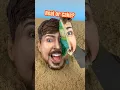 Download Lagu Let’s Play REAL or CAKE?
