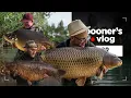 Lagu HUGE Carp Fishing Social at GIGANTICA | Spooners Vlog