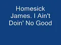 Homesick James  I Ain't Doin' No Good