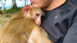 Only Dad gives boundless love and warm hugs to little Monkey Kaka