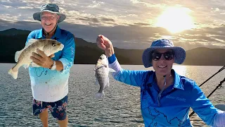 Sailing Great Barrier Reef North to The Inlet Whitsundays Cruising Wildlife Fishing and Exploring