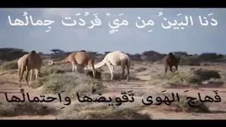 دنا البين من مي فردت جمالها عميد الفن الموريتاني سيداتى ولد آبه 