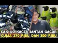 Download Lagu OBRAL BURUNG GACORAN CUCAK IJO 300 RIBU KACER JANTAN 270 RIBU DI PASAR BURUNG PRAMUKA 