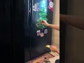 Download Lagu Holiday Haul! Baby #3 Arrives + Christmas Magic Begins #christmastree #fridgemagnets