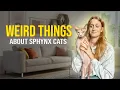 Things I Wish Someone Told Me Before Getting a Sphynx