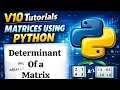 Determinant of Matrix Python program