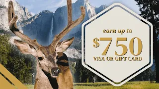 Get 750 For Your Next Vacation
