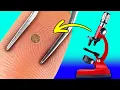 Amazing Microscopic World Common Objects Under The Microscope HOME EXPERIMENTS