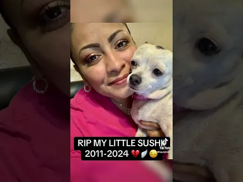 Mi corazon esta completamente roto... 💔🪽 Descanse en paz mi Sushii 😔
