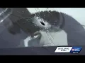 Jackson sees rise in domestic violence concerns as police link multiple homicides to ongoing pattern