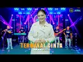 Download Lagu TERMINAL CINTA // NOVI NOVITA \\\\ AURA MUSIC TERBARU...!!!!!!!!
